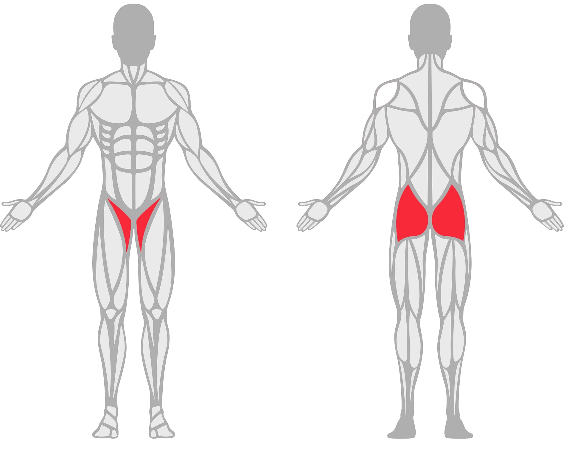 pelvis-and-sacroiliac-easthill-physiotherapy-acupuncture-inc